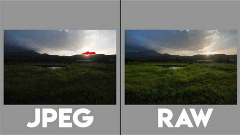 Diferencias Entre Raw Y Jpeg En Fotografía Digital