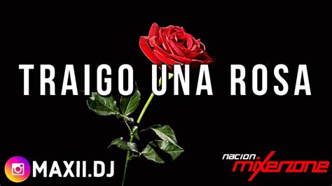 Traigo Una Rosa Mixer Zone Dj Maxi Junco La Re Pandilla Youtube