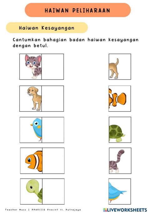 Download Kumpulan 96 Gambar Hewan Tk Terbaru Hd Gambar