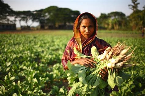 The Womens Empowerment In Agriculture Index
