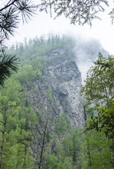 Clouds Over The Taiga In Siberia Stock Image Image Of Rain Right