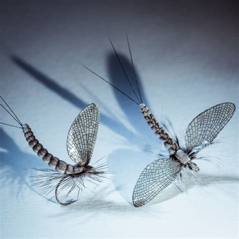 Fly Tying Picture By Brant Fageraas