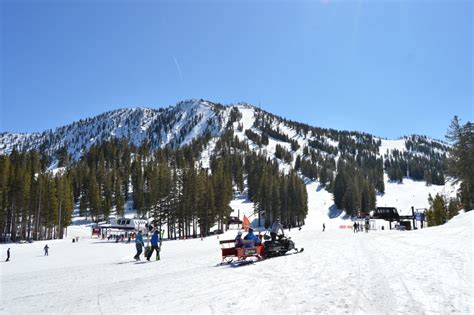 Mt Rose Ski Tahoe NV Report Good Days Turn Great SnowBrains