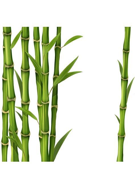Png Di Bambù Le Immagini Sono Disponibili Per Il Download Gratuito