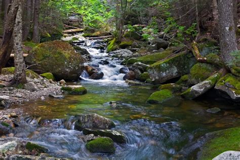 Gold Prospecting In New Hampshire 7 Best Locations And Laws How To