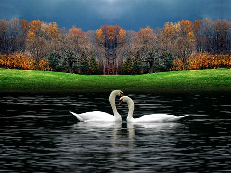 Use them in commercial designs under lifetime, perpetual & worldwide rights. beautiful nature photos - Beautiful Nature