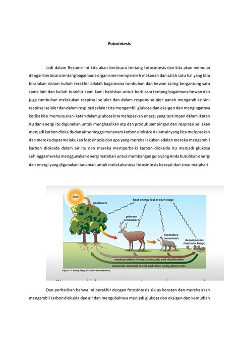 Fotosintesis - Respirasi sel kanan mengambil glukosa dan oksigen dan