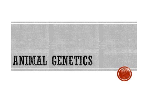 Ppt Animal Genetics Powerpoint Presentation Free Download Id9670253