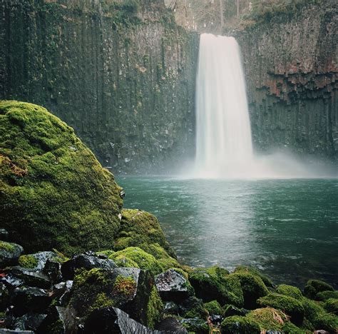 Waterfall Inl Lush Cavern By Danielle D Hughson