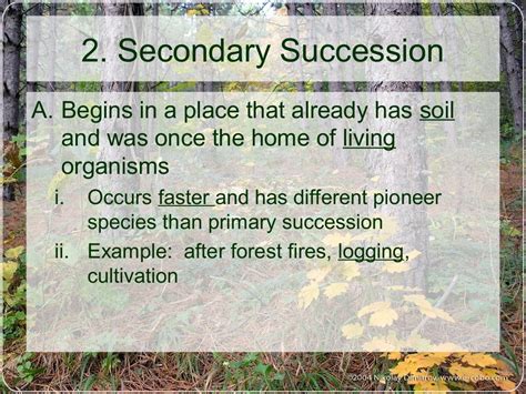 Forest Succession And Stages Ppt