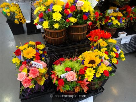 Bulk order from trader joe's ©. Assorted Floral Arrangement