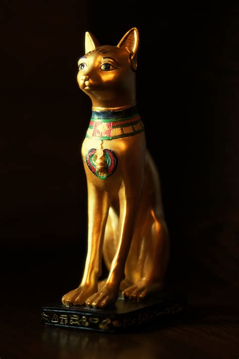 The Egyptian Cat Viki Secrets
