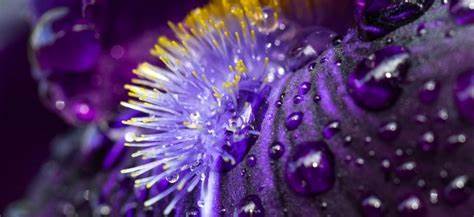 Рецепты диеты 1 5 Меню для больного острым гастритом Меню для больного острым гастритом Рецепты диеты 1 5