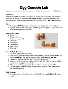 The chorion is one of the embryonic membranes that control gas exchange in egg laying birds and reptiles. Egg Osmosis Lab by Kate's Science Shop | Teachers Pay Teachers
