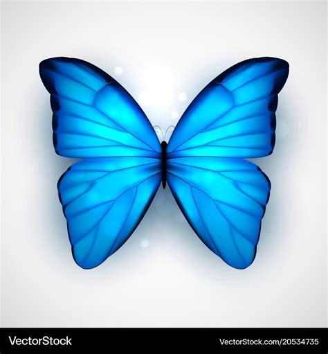 Blue Butterfly Royalty Free Vector Image Vectorstock