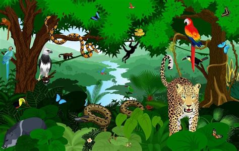 Animales De La Selva Características Qué Comen Hábitat Ejemplos