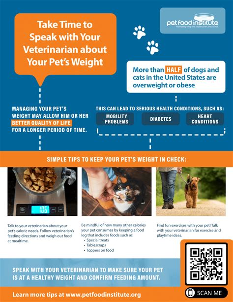 What Is The Healthiest Way To Feed Your Dog