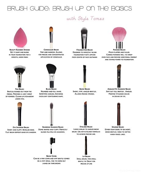 What Makeup Brushes To Get And How To Use Them