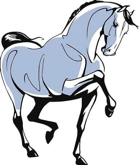 Dressage Clip Art Vector Images And Illustrations Istock