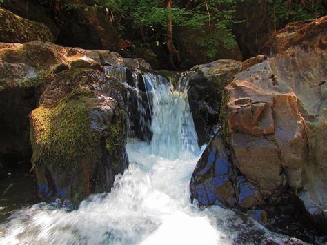 Oregons Cavitt Creek Falls Recreation Area Is Perfect For A Summer Day