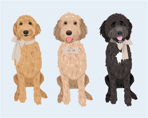 Goldendoodle Art Labradoodle Dogs Dog Vector Vector Art Dog Clip