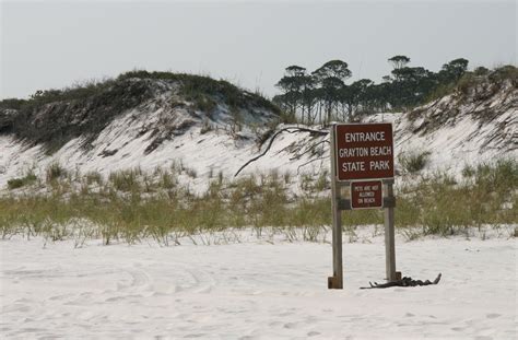 Maybe you would like to learn more about one of these? Grayton Beach State Park | Flickr - Photo Sharing!