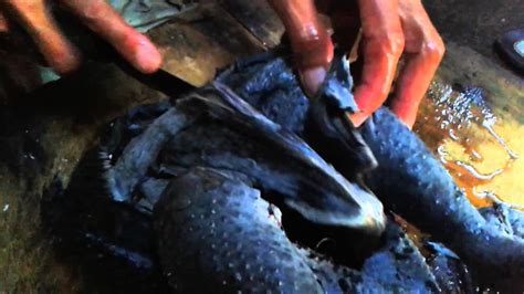 Daging Ayam hitam atau ayam cemani asli - YouTube