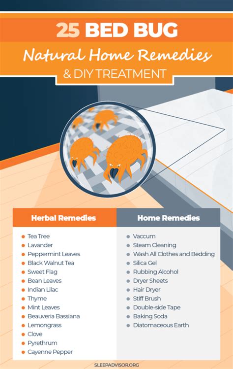 Home Remedies To Get Rid Of Bed Bug Bites Pest Phobia