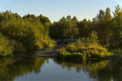 Evening Plain River Stock Image Image Of Golden Creek 126190593