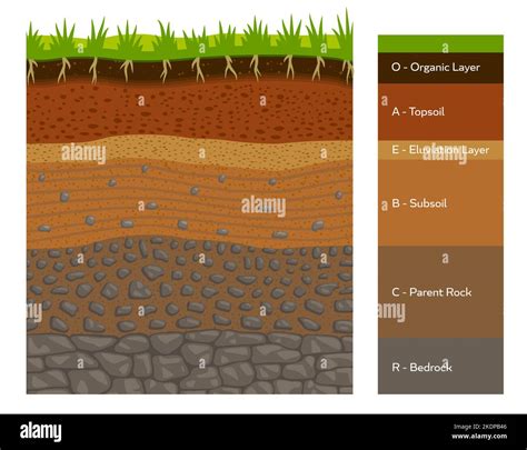 Soil Layer Infographic Earth Geology Formation Bedrock Parent Rock