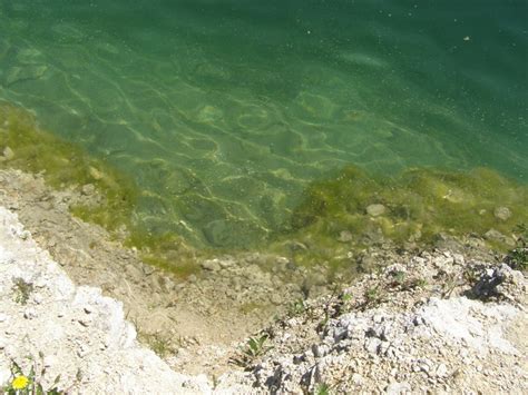 Najchłodniejsza Woda W Oceanach Znajduje Się W Okolicach - bio-forum.pl: 2013-05-19 Trzebinia, powrót nad Balaton - część 2