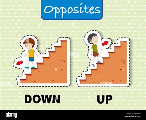 Opposite Words For Down And Up Illustration Stock Vector Image And Art