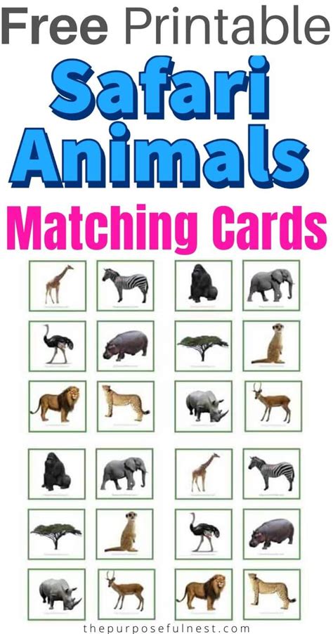 Animal Matching Game For Toddlers