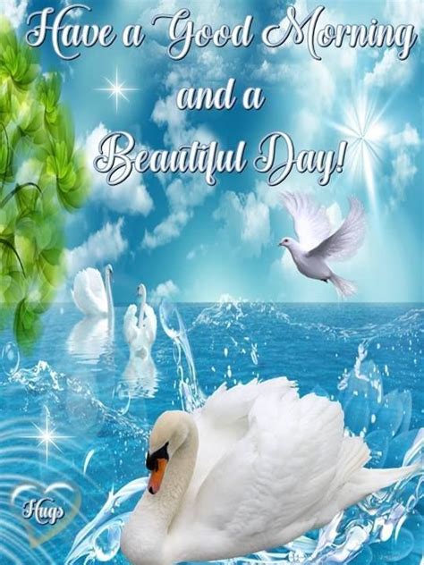 Swan And Dove Beautiful Day Image Pictures Photos And Images For