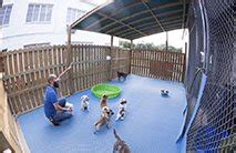 Korob pet hotel 95 photos 75 reviews dog walkers korobpethotel houston usa pethotel bog korob pet hotel. Dog Hotel: Daycare, Boarding, Training - Korob Pet Hotel ...