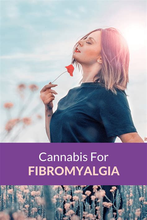 Cannabis For Fibromyalgia Risks And Benefits Cannabis For Fibromyalgia