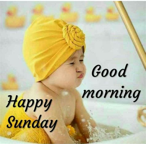 Funny Good Morning Wishes Sunday Morning Wishes Good Morning Sunday