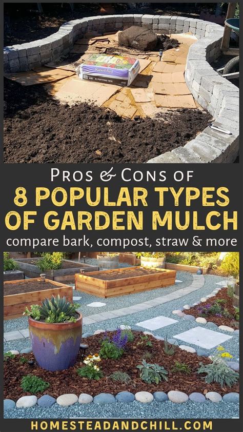 A Garden With Various Types Of Plants In It And The Title Pros And Cons