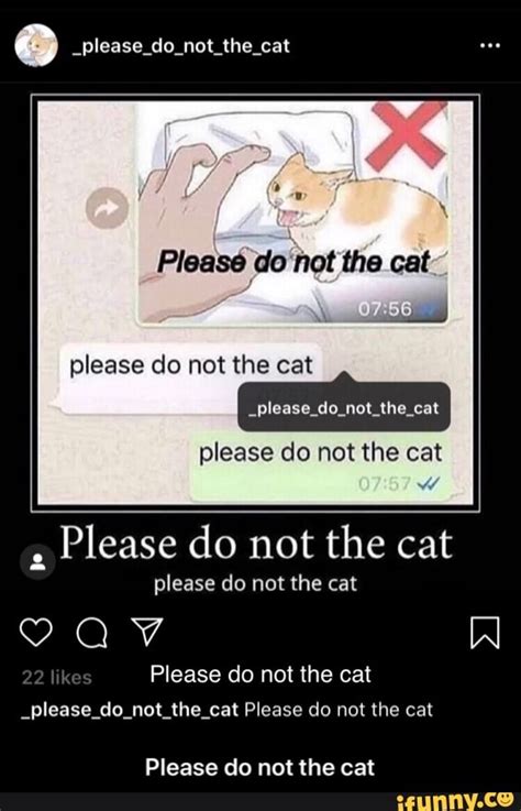 Please Do Not The Cat Not The Eat Please Do Not The Cat Please Do Not