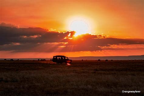 Pictures From Africa Safari Masai Mara Sunsets A Case Of