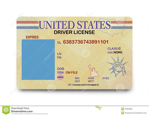 Editable Blank Drivers License Template