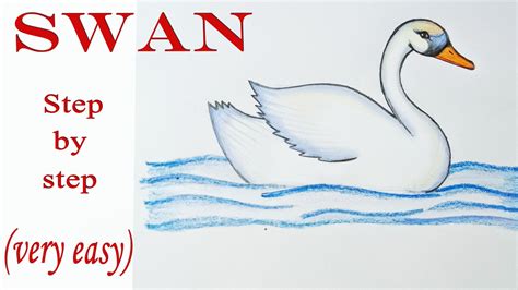 How To Draw A Swan Step By Step Very Easy Youtube