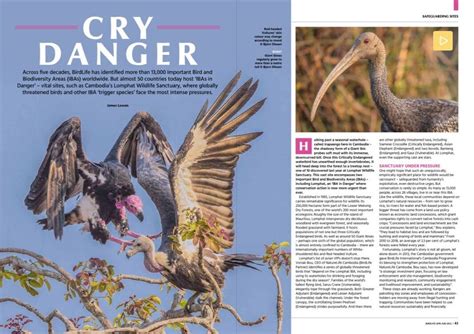 Magazine Birdlife International