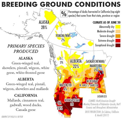 2021 22 Fall Flight Forecast — California Waterfowl