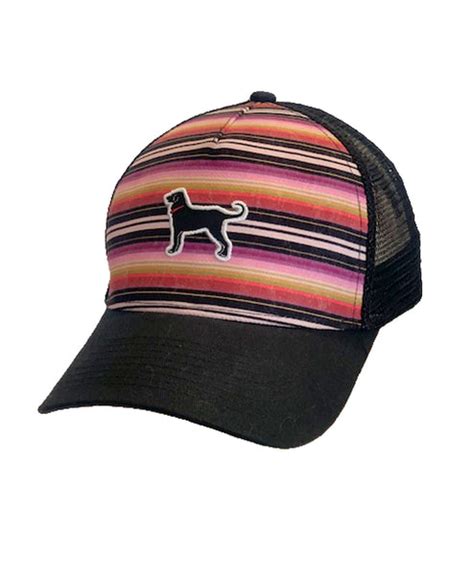 Shop Hats The Black Dog Hat Collection