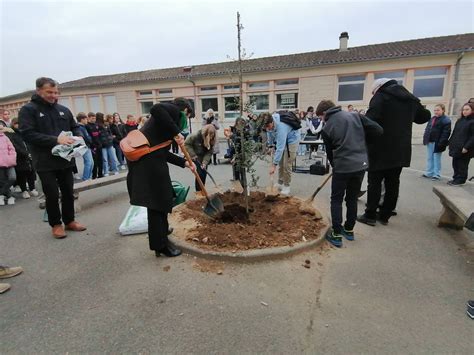 Plantation de l arbre de la Paix Site du collège Jean Rostand La