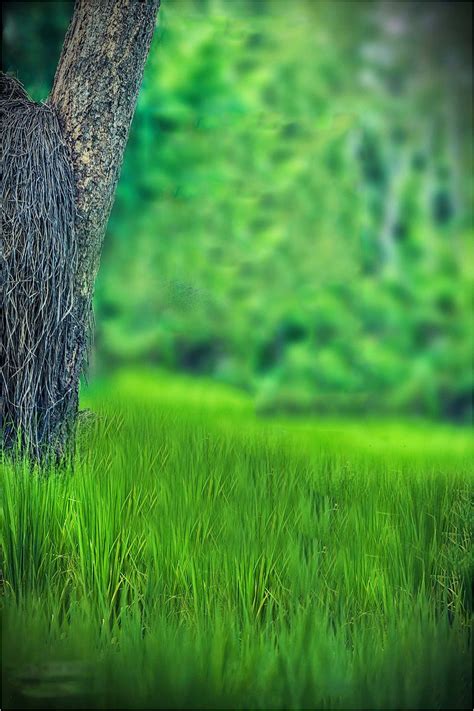 Ful Hd K Cb Background For Photoshop Picsart Background Blur Image | My