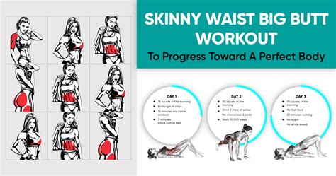 Skinny Waist Big Butt Workout To Progress Toward A Perfect Body