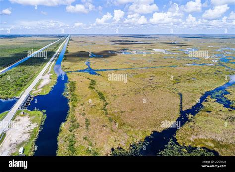 River Of Grass Sawgrass Everglades Hi Res Stock Photography And Images