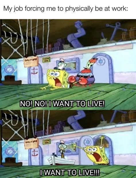 583 Best Rspongebobmemes Images On Pholder Now That People Are